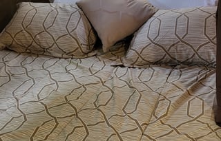 The animal lovers RV