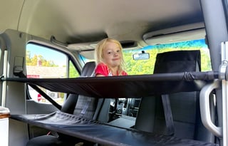 2016 Sprinter - Fall family & pet adventure van!