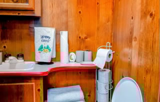 Time Travel in a 2022 Vintage Cruiser 23RSS