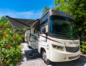 Forest River RV Georgetown 364TS