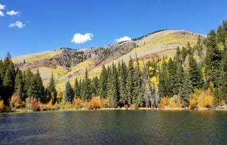 4WD All-Season "Rosie" UNLIMITED MILES + Starlink