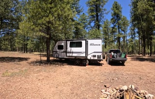 Montana's Best Micro Minnie