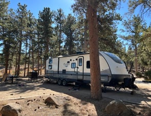 Forest River RV Surveyor 295QBLE