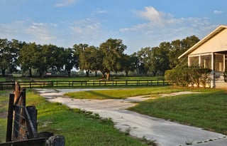 Bear Hug Retreat - Your comfy home away from home!