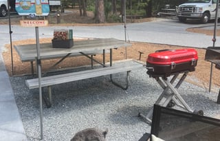 2022 Forest River RV Cherokee Wolf Pup 16BHS