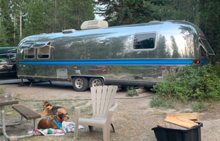 Silver Stays 1981 Airstream Excella II