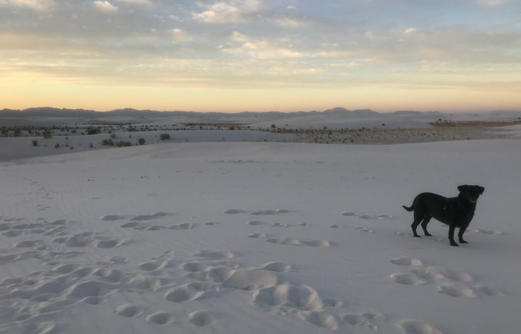 White Sand Dunes National Park, NM