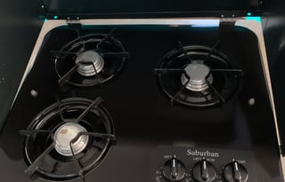 2010 palomino yearling y4103