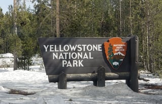 4WD All-Season "Rosie" UNLIMITED MILES + Starlink