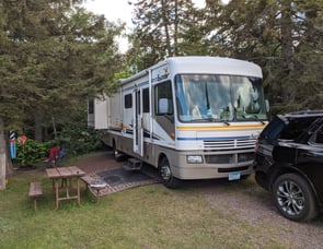 Fleetwood RV Bounder 32W