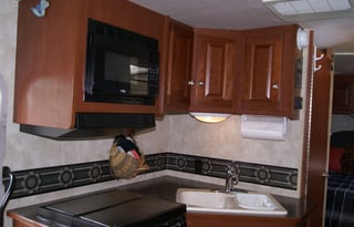 Colliewood's Pet Friendly RV Rentals