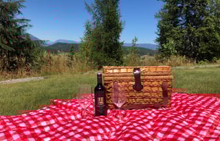 Airstream Luxury Our Place or We Deliver Anywhere!