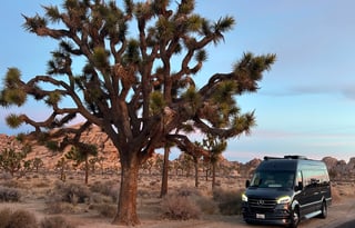 Misty... a beautiful grey fog