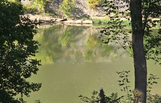 2025 Forest River RV Salem FSX 30VCVIEW