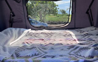 2019 TOYOTA MPVH/ ROOFNEST