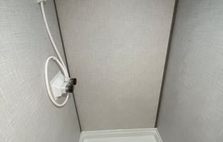 Pet Friendly Coleman Lantern - Premium Matresses