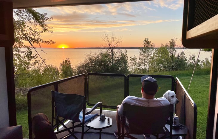 Close the gates to keep dogs in.. or leave them open!