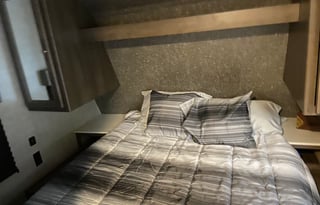 2019 coleman lantern lt 202rd