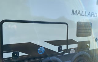 Robins' Family Friendly Mallard