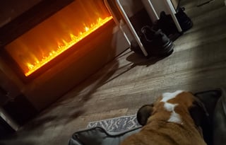 2025 Forest River RV Campsite Reserve 25MW