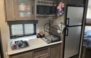 “Lucy” 2021 Forest River FSX