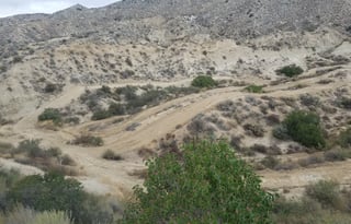 2015  Windsport  Coachella/ Stage Coach events OK