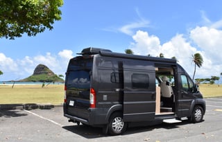 Banyans - (Kona - The Big Island)