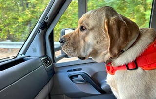 25ft of Freedom - Mountains, Beaches, Beers!