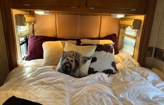 2011 Forest River RV Georgetown VE 327DS