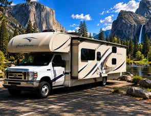 Thor Motor Coach Four Winds 31E Bunkhouse
