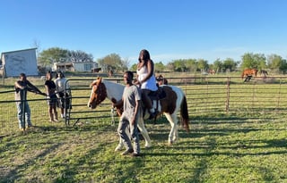 Saddles and Sunsets RV and Horse Riding Experience