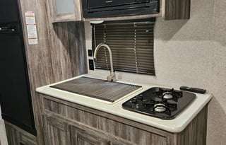 2019 Forest River RV Wildwood FSX 179DBK