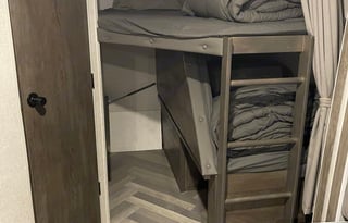 "Dotty" the Wildwood