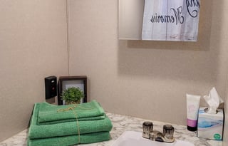 Cozy Luna 2019 Keystone RV Springdale Mini 1790FQ