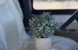 Grand Canyon Vista | Burning Man Ready | Vegas