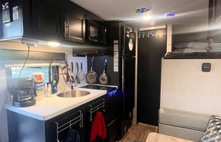 2022 wolf pup, black  Label 16BHSBL