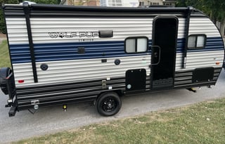 The Intrepid Grey Wolf