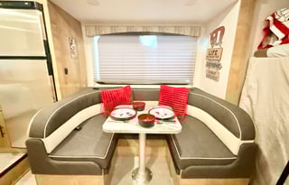 Luna the Leprechaun -2021 Coachmen RV Leprechaun