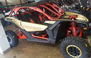 Fun Fun Fun in the Sun