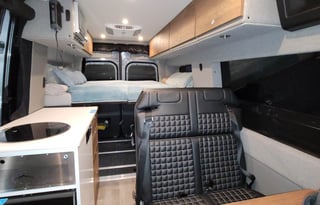 Sadie: Your Ultimate Adventure Companion