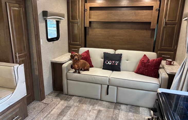 The couch has room for 3 even if one of the 3 is your sweet little fuzzball. Note all the floor space.