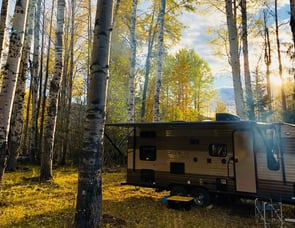 Forest River RV Cherokee Grey Wolf 22BH