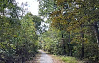 Travel Trailer by Sugartrails : Your Memory Maker