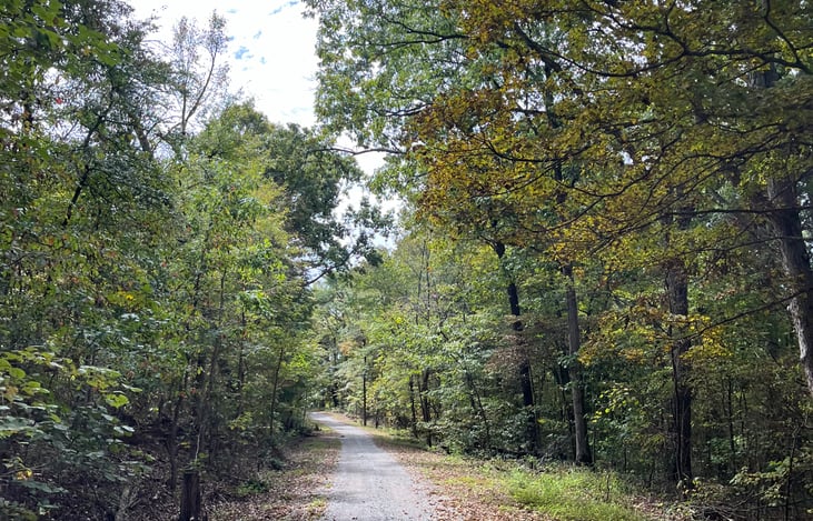 Just another beautiful country road