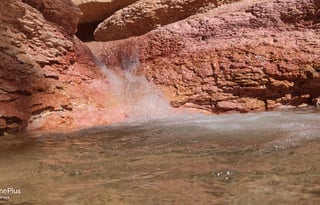 2014 Thor Motor Coach Four Winds 22E