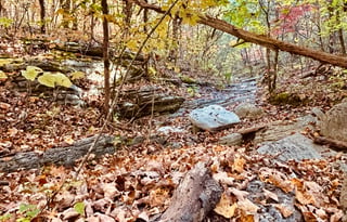 Private TN Mountain Camper Retreat