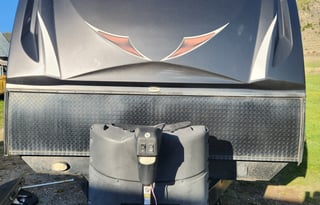 Take flight with the Mighty Mallard!