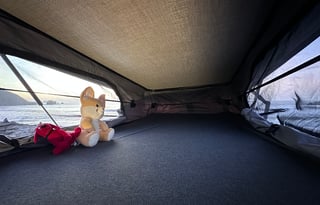 Vantastic Adventures Ahead