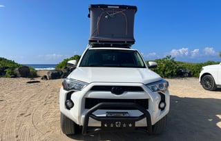 2019 TOYOTA MPVH/ ROOFNEST