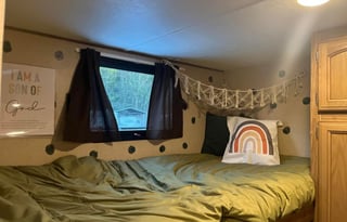 The Family Revere-dog and kid friendly!